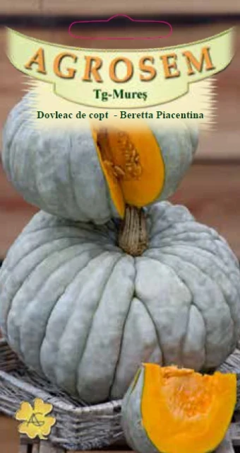 resized640_Dovleac de copt-Beretta Piacentina (8 seminte), Agrosem(1).webpDovleac Beretta Piacentina (8 semine), soi tardiv, miez portocaliu dulce, Agrosem